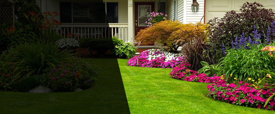 Ripley Landscapers