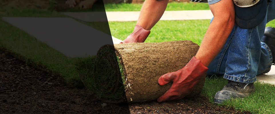 Ripley Landscapers